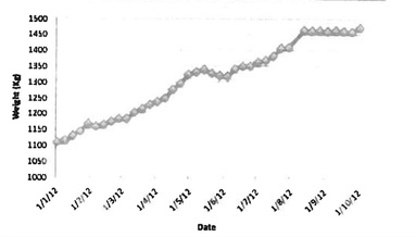 Almunia (2012) has a graph of Morgan's weight in his report.  We are very worried about her, because her weight should not plateau off like this (you can see that shortly after the 1st of August 2012, her weight stops increasing).  Photos taken by Dr Visser, in October show distinctive signs that Morgan's weight is an issue.