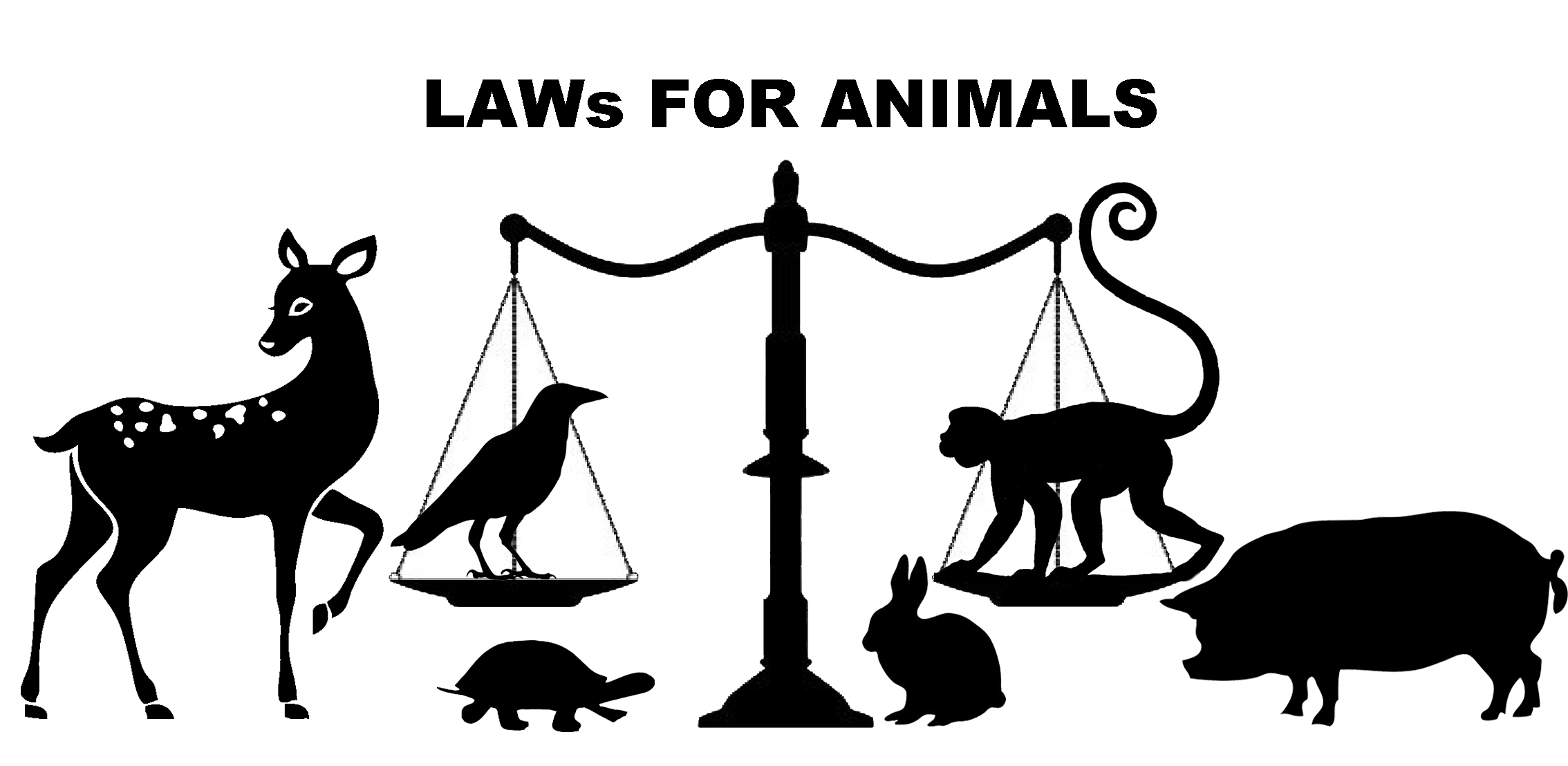 animal-law