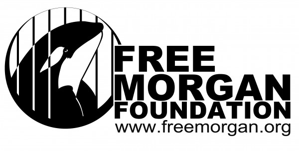 The current FMF logo, introduced in November 2015, represented Morgan's long-term imprisonment, but also hope that she can still go free.