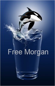 Free Morgan campaign logo, circa 2010