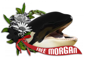 FreeMorganWreathRed