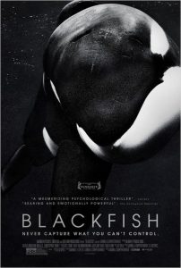 BLACKFISH starred the orca Tilikum, who, according to SeaWorld, contracted a drug-resistant bacteria in 2016.