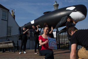 13 March 2014, taking the message out to the public, supporters of the FMF carried a model cetacean around the streets to help raise awareness