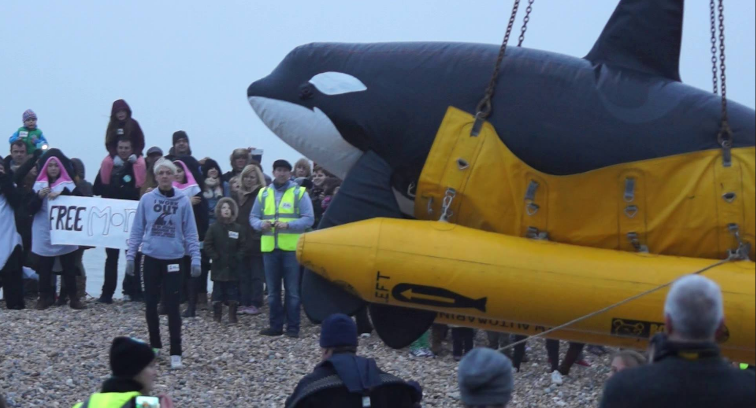 2014-WhaleFest 'Release Mock Morgan' in rescue pontoons