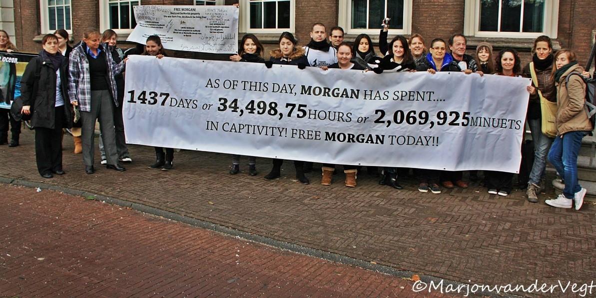 December 2013, banner indicating how much time Morgan has spent in captivity