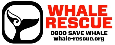 whale_rescue_resize_381_149_100